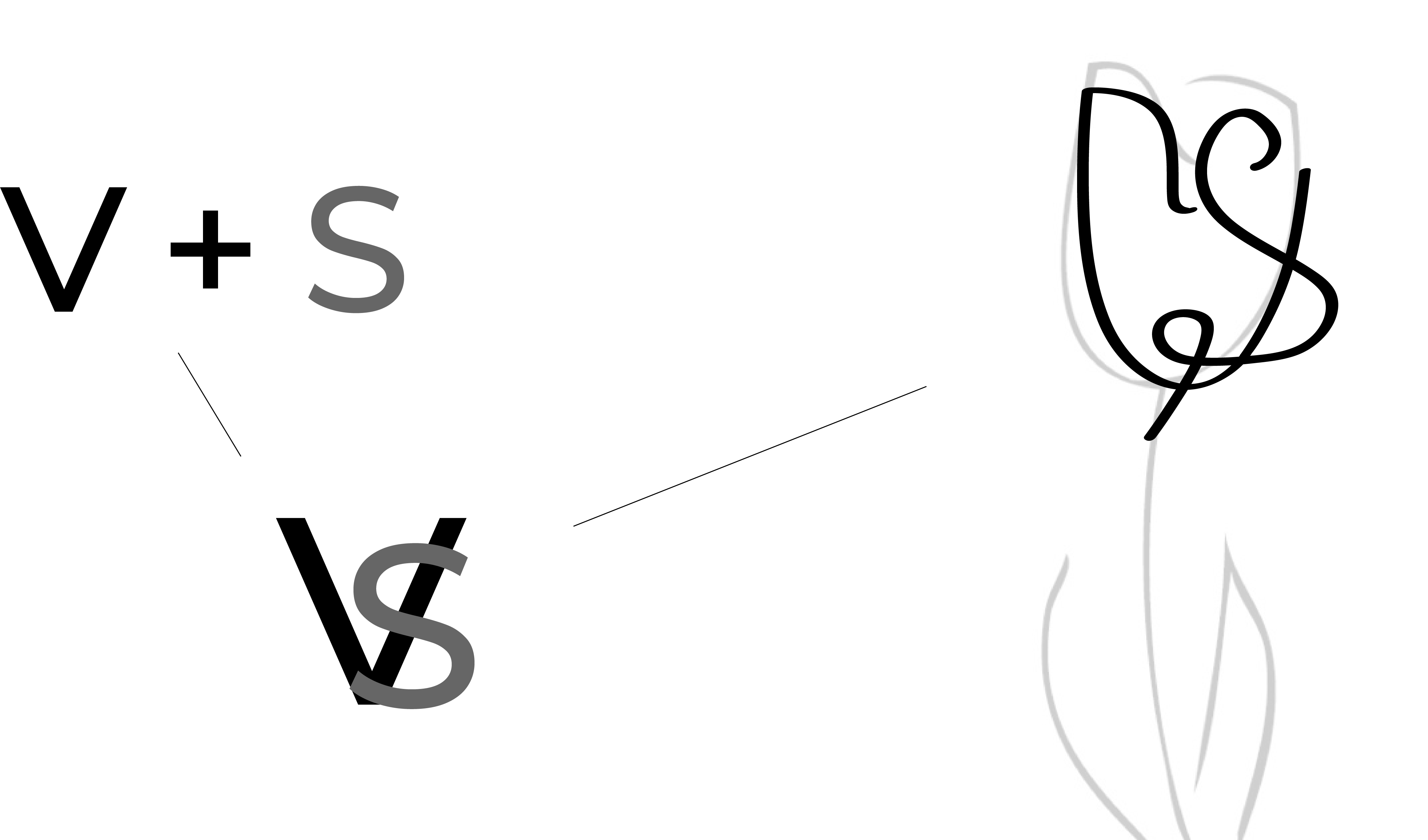 Processo Logo Valentina